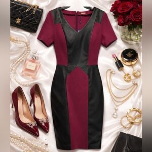 Rebecca Minkoff Harriet Colorblock Mini Dress Burgundy Black 6 NWT Date Night